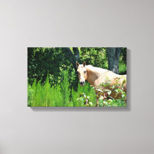 Palomino Paard Foto Canvasprint Canvas Afdruk