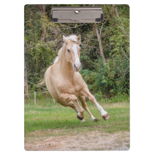 palomino-paardenklembord klembord