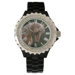 Palomino Paint Horse & Forest Foto Horloge