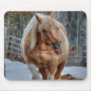 Palomino Paint Ranch Horse Equine Muismat