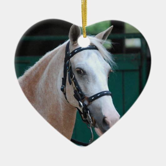 Palomino Paso Fino Ornament (Voorkant)
