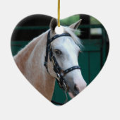 Palomino Paso Fino Ornament (Achterkant)