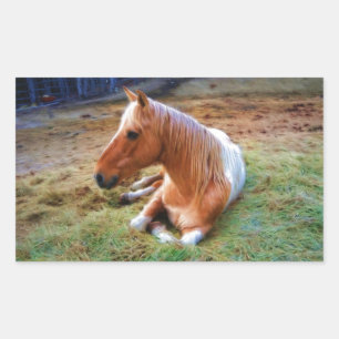 Palomino Pinto Horse Resting Artwork Rechthoekige Sticker