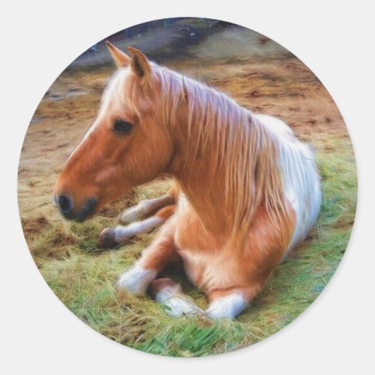 Palomino Pinto Horse Resting Artwork Ronde Sticker (Voorkant)