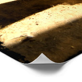 Palomino Pinto-paardenvoeding in Barn Poster (Hoek)