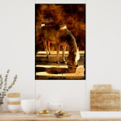 Palomino Pinto-paardenvoeding in Barn Poster (Keuken)