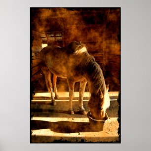 Palomino Pinto-paardenvoeding in Barn Poster