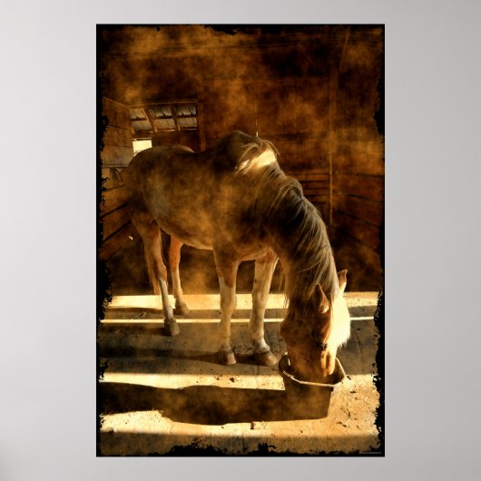 Palomino Pinto-paardenvoeding in Barn Poster (Voorkant)