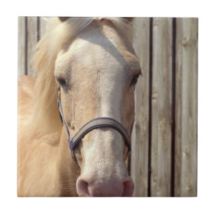 Palomino Pony Tile Tegeltje