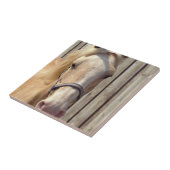 Palomino Pony Tile Tegeltje (Zijkant)