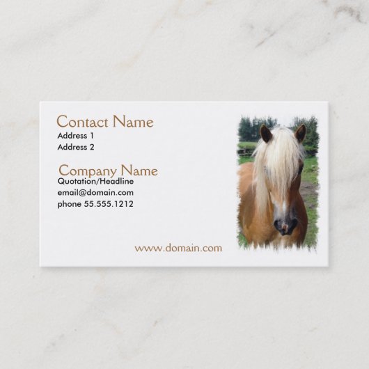 Palomino Quarter Horse Visitekaartje (Voorkant)