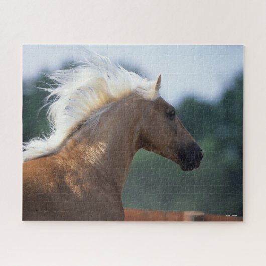 Palomino Rocky Mountain Horse Headshot Legpuzzel (Horizontaal)