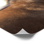 Palomino Rocky Mountain Horse Headshot Poster (Hoek)