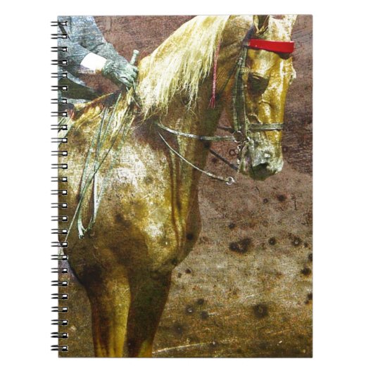 Palomino Saddlesat Grunge Notitieboek (Voorkant)