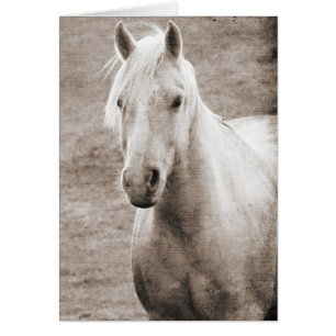 Palomino Sepia