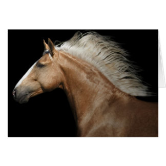 Palomino Stallion