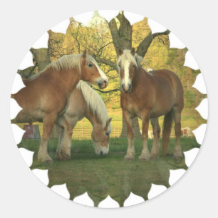 Palomino trekpaarden Stickers