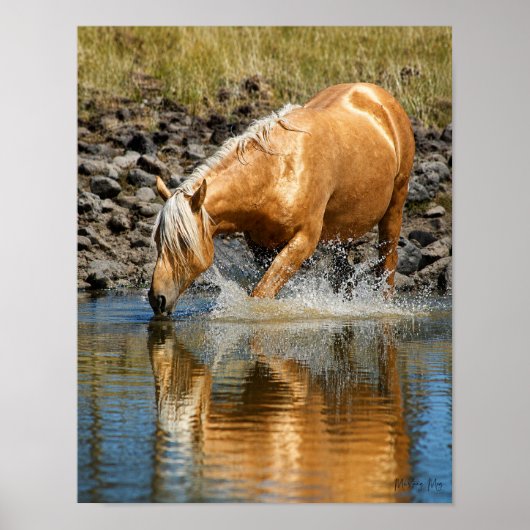 Palomino Waters Poster (Voorkant)