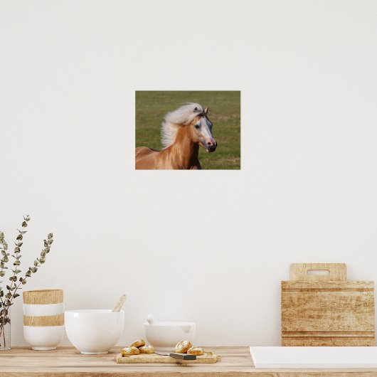 Palomino Welsh Pony Headhot Mane Flow Poster (Keuken)