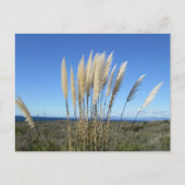 PALOS VERDES. CARTE POSTALE CA #9 (Devant)