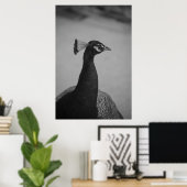 Palos Verdes Peacock Poster (Thuiskantoor)