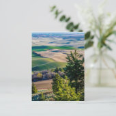 Palouse land - oostelijk Washington Briefkaart (Staand voorkant)