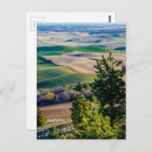 Palouse land - oostelijk Washington Briefkaart (Voorkant / Achterkant)