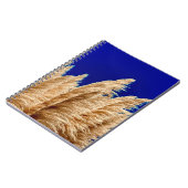 Pampas et Sky Carnet (Côté gauche)