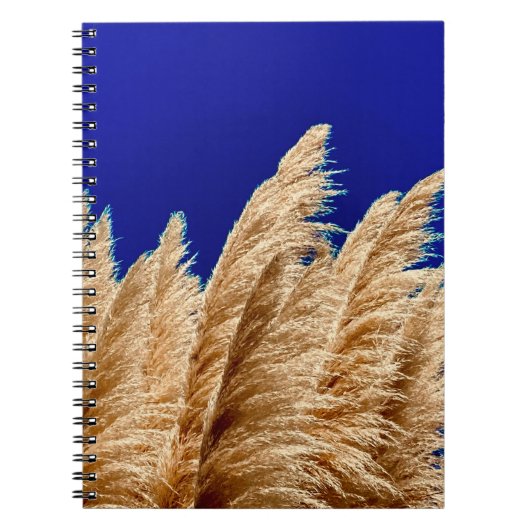 Pampas et Sky Carnet (Devant)