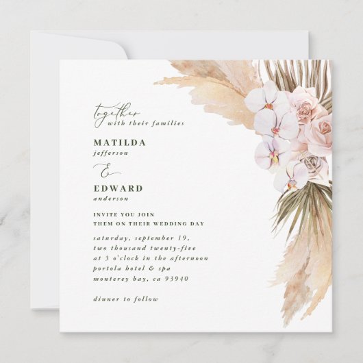 Pampas graspalm gedroogd botanische roze rustige r (Voorkant)