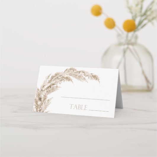 Pampas Grass (Voorkant)