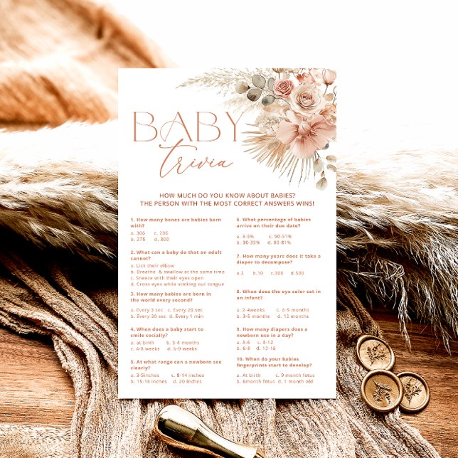 Pampas Grass Boho Bohemian Bloemen Baby Trivia Spe (Creator heeft geüpload)