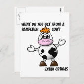 Pampered Koe Joke Briefkaart (Voorkant / Achterkant)