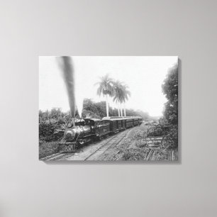 Pan American Central Railroad in Guatemala Canvas Afdruk