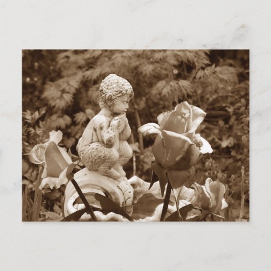 Pan Garden briefkaart (Voorkant)