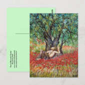 PAN OLIJFBOOM EN PAPAVERS BRIEFKAART (Voorkant / Achterkant)