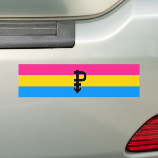 Pan Pride Bumpersticker (Op auto)