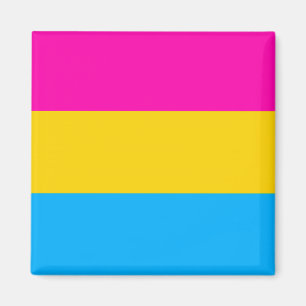 Pan pride flag magnet magneet