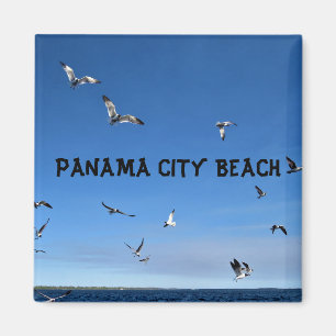PANAMA CITY MAGNET MAGNEET
