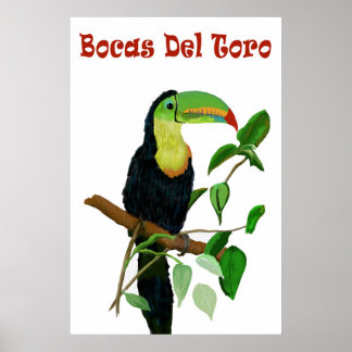 Panamas colorés et tropicaux Poster Toucan.