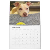 Pancake et milk-shake, calendrier moyen (Jan 2026)