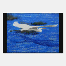 Grand Héron Bleu,Estuaire 