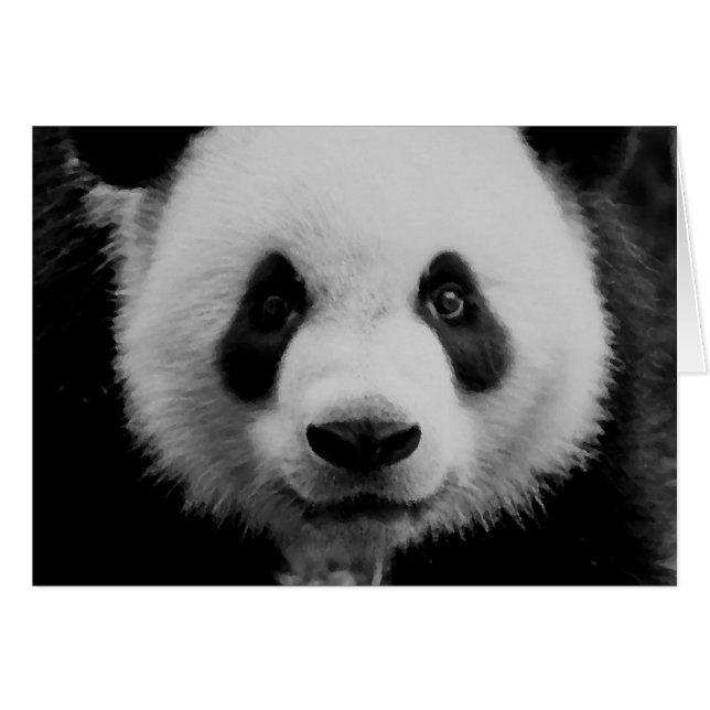 Panda (Devant horizontal)