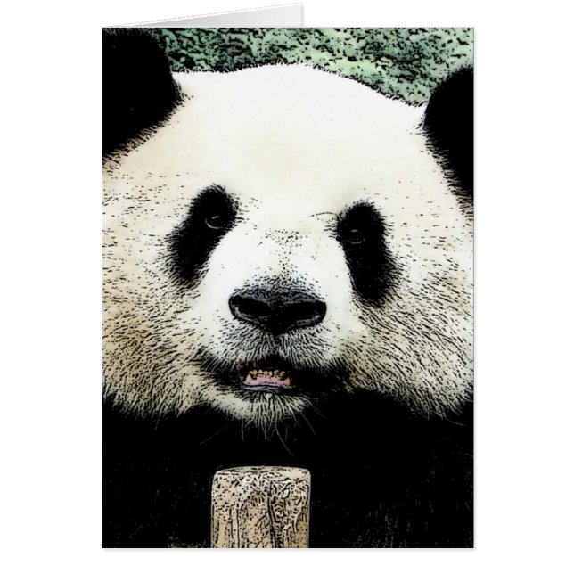 Panda (Devant)