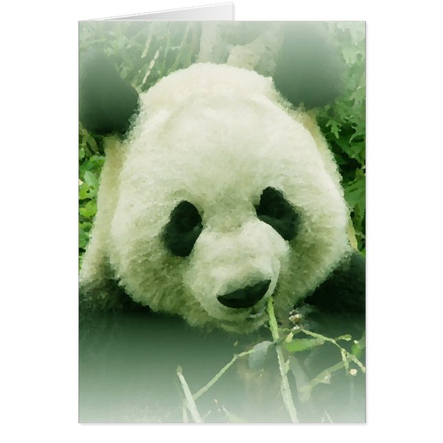 Panda (Devant)