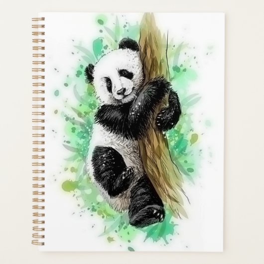 PANDA (Devant)