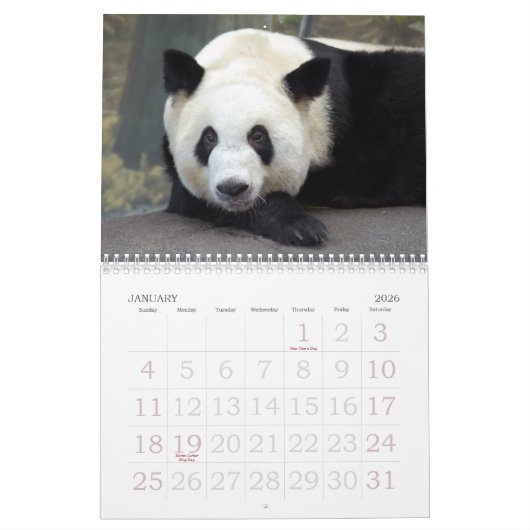 Panda117, Giant Panda Beren Kalender (Jan 2026)