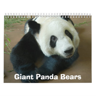 panda118, Giant Panda Beren Kalender