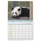 panda118, Giant Panda Beren Kalender (Feb 2026)