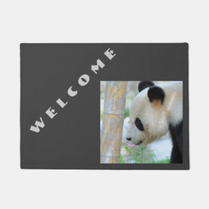 Panda20170502_by_JAMFoto Deurmat